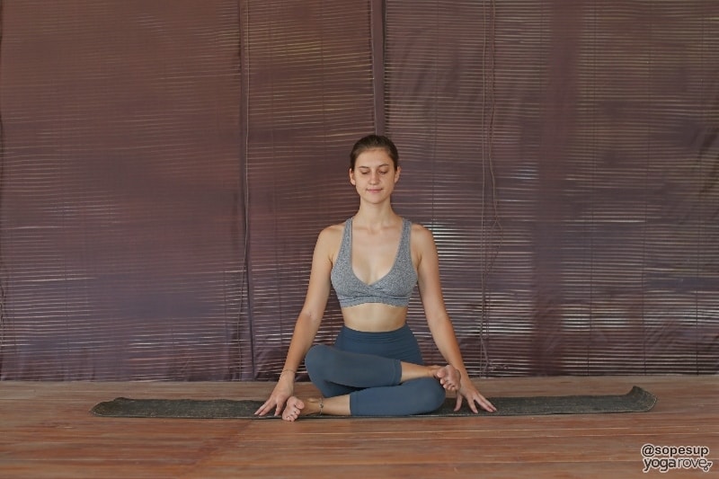 Top Seated Yoga Poses For Beginners