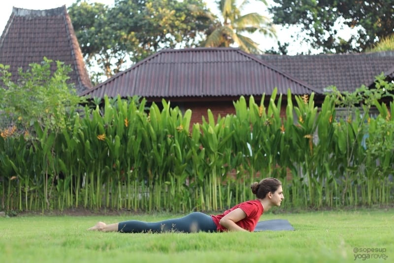 Yoga Poses for Beginners: Baby Cobra