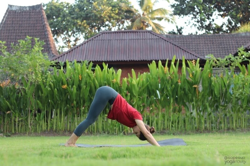 Yoga Poses for Beginners: Downward Facing Dog