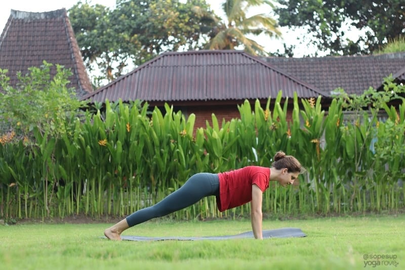 plank pose beginner