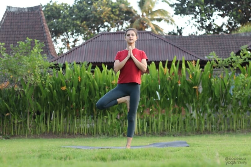 Yoga Poses for Beginners: Tree Pose