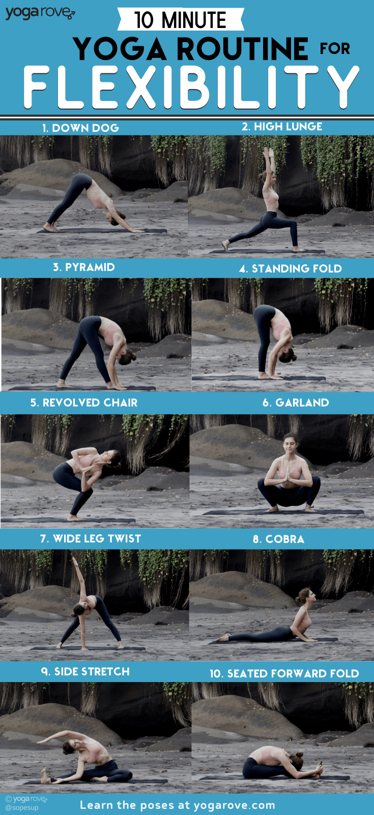 Yoga for Flexibility for Beginners Infographic
