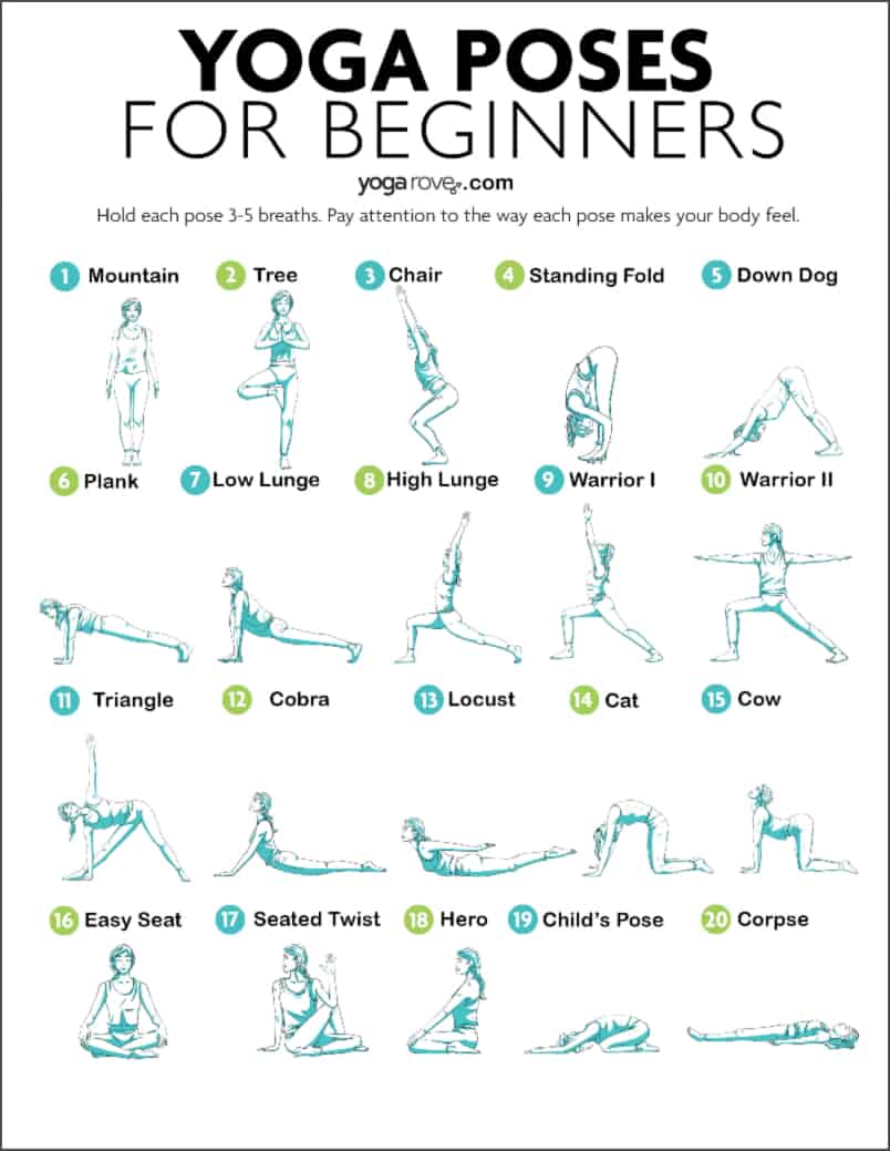 20 Yoga Poses for Complete Beginners (+ Free Printable) Yoga Rove