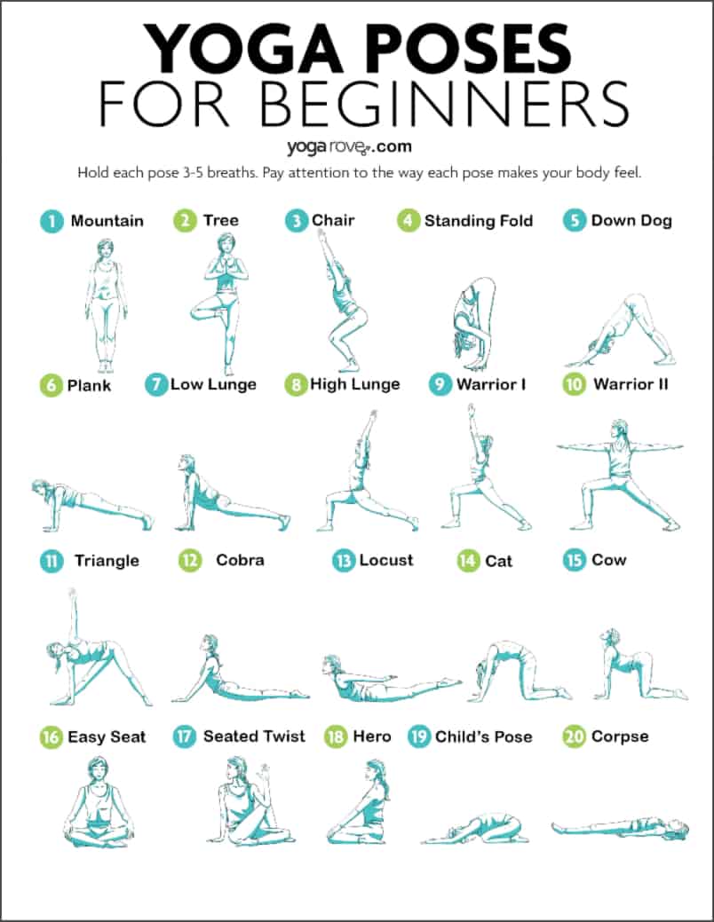 20 Yoga Poses for Complete Beginners (+ Free Printable) - Yoga Rove