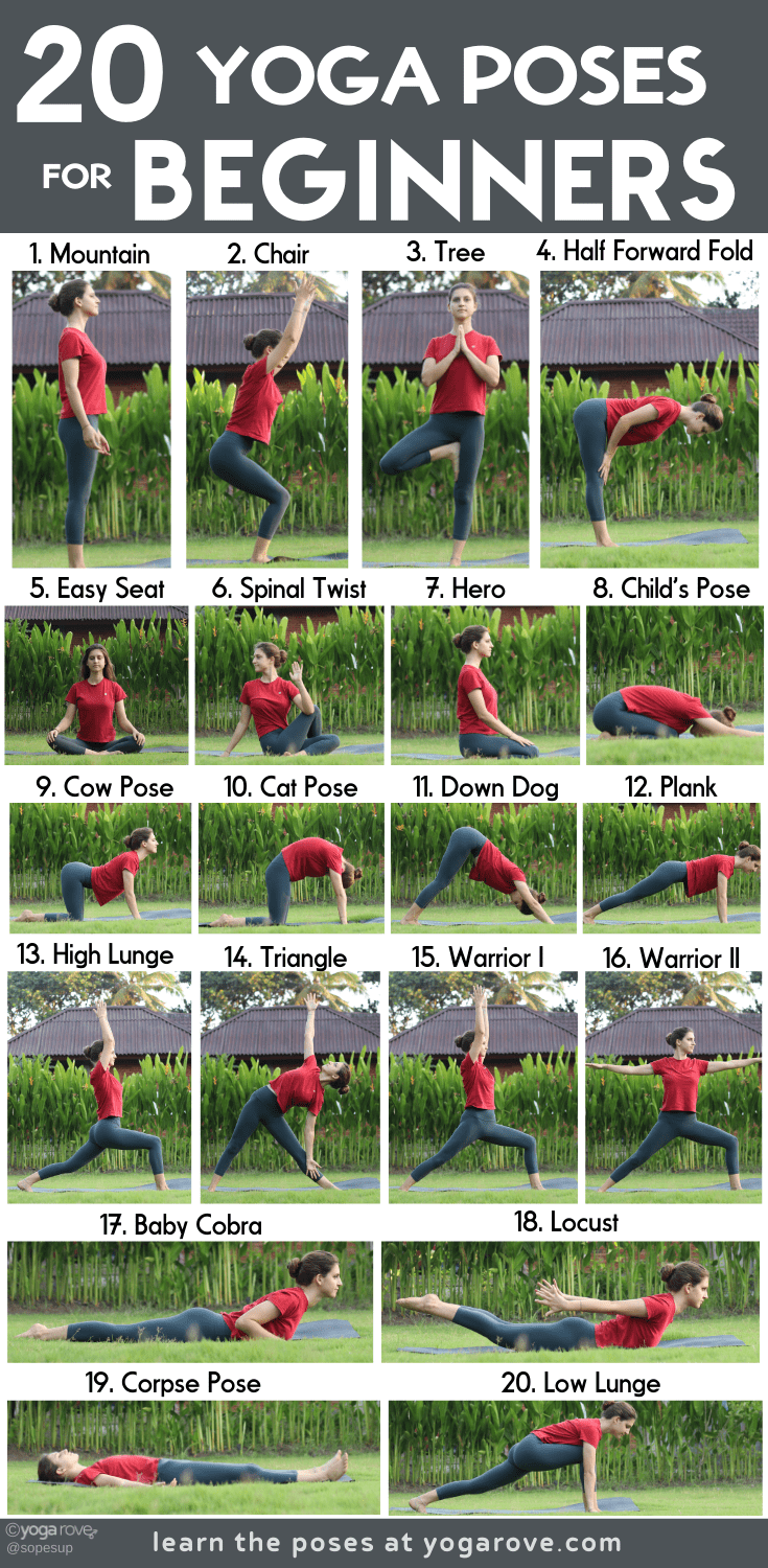 20 Yoga Poses for Beginners Infographic