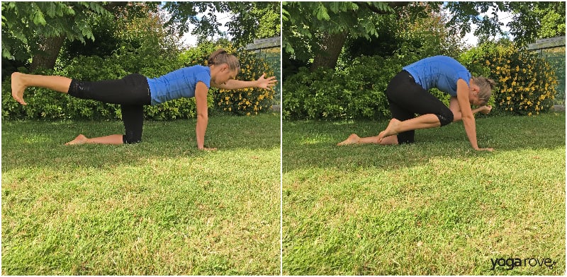 Yoga Poses for Core- Bird Dog Crunch