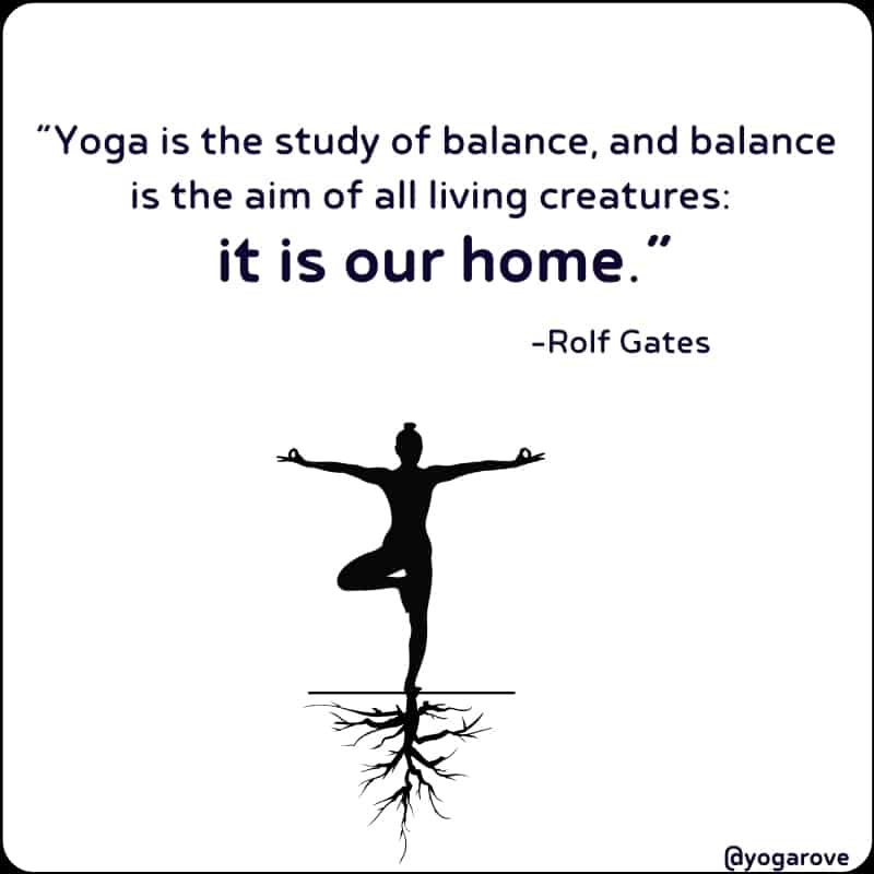 104 Yoga Quotes for Inspiration & Motivation (with images)