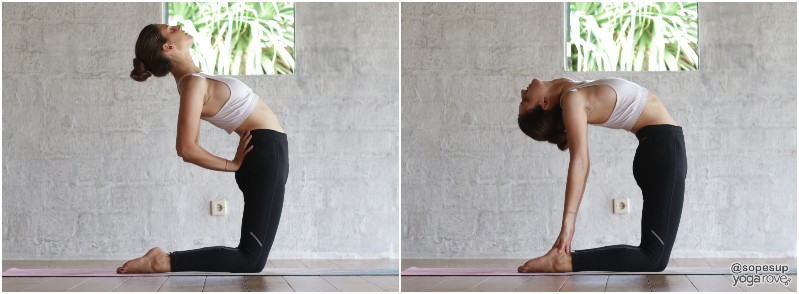 Camel Pose and modification for back flexibility