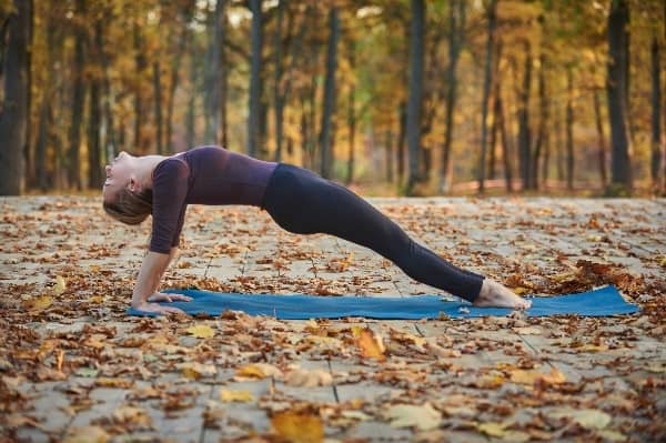 Autumn Yoga Flow for Balance and Focus