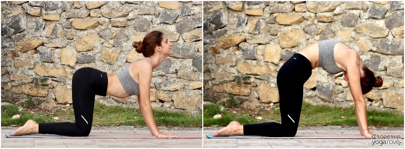 The Top 10 Yoga Poses to Practice Every Day - Yoga Rove