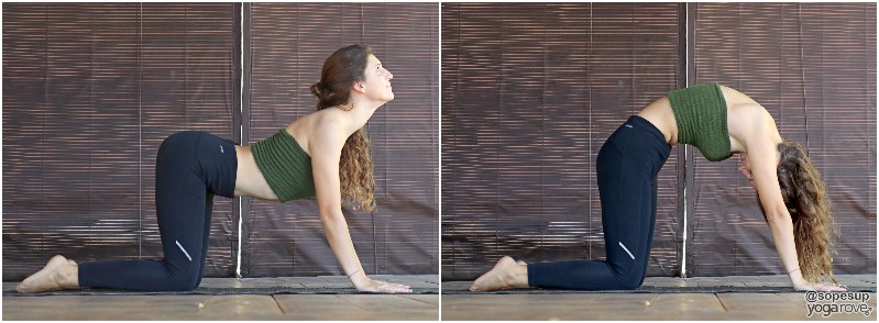 yogi practicing cat-cow restorative yoga