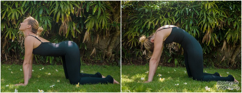 yogi practicing cat-cow pose to improve posture