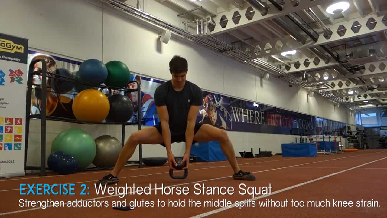 horse stance squat pose