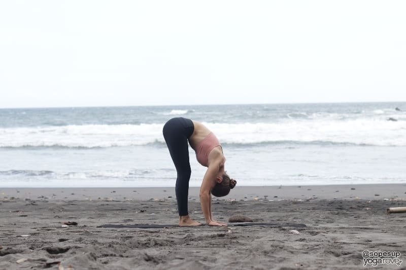 yogi practicing standing forward fold in sun salutation a