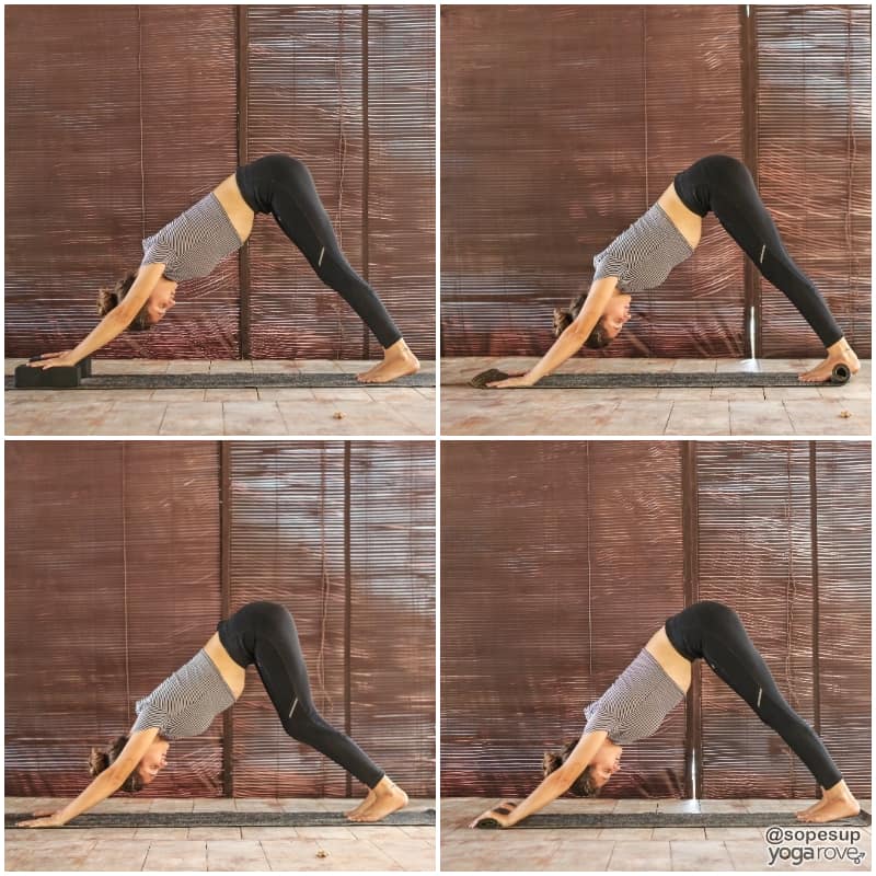 How To Do Downward Dog For Inflexible Beginners Yoga Rove