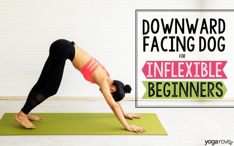 How to Do Downward Dog for Inflexible Beginners - Yoga Rove