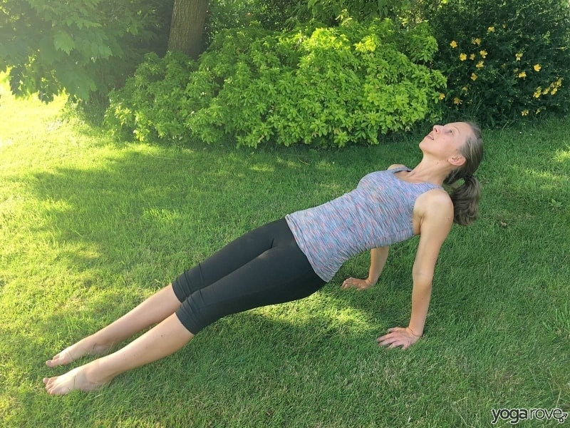 yogi practicing upward plank for pain between shoulder blades