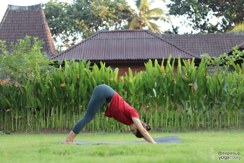 yogi practicing downward facing dog for flexibility
