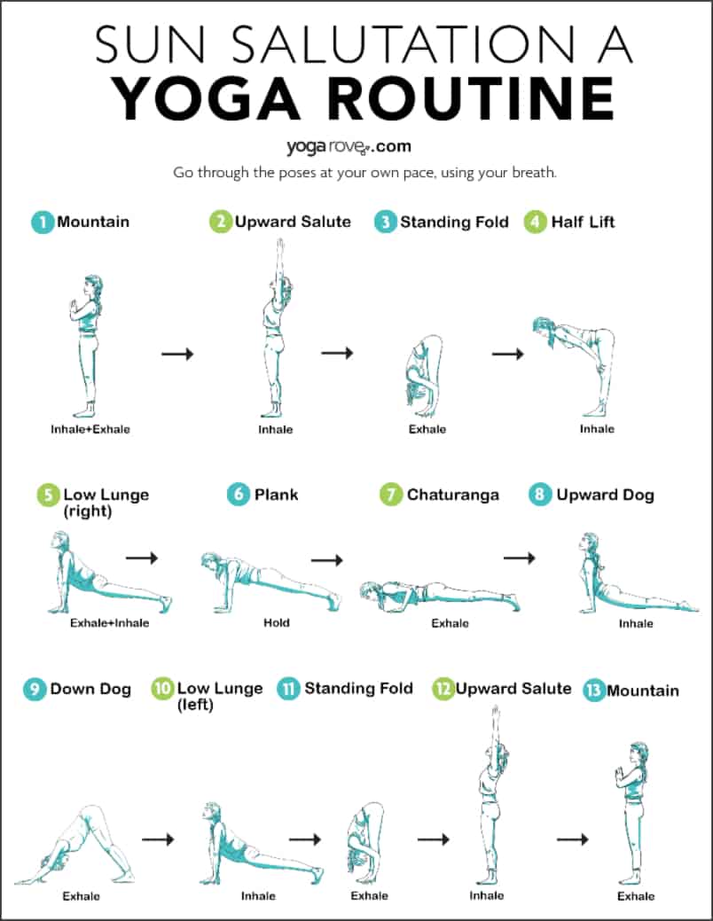 Sun Salutation for Weight Loss How Effective Is It? Yoga Rove
