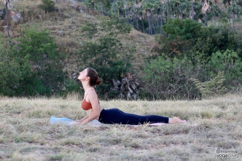 yogi practicing cobra pose for mobility