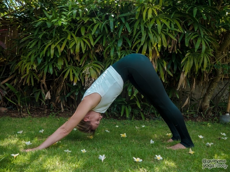 yogi holding downward dog for a longer period of time for benefits