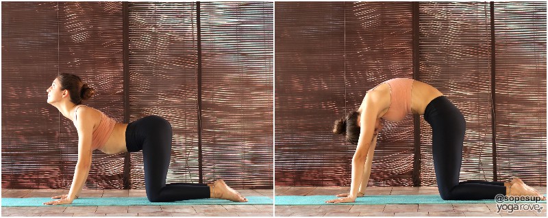 Intermediate Yoga Poses