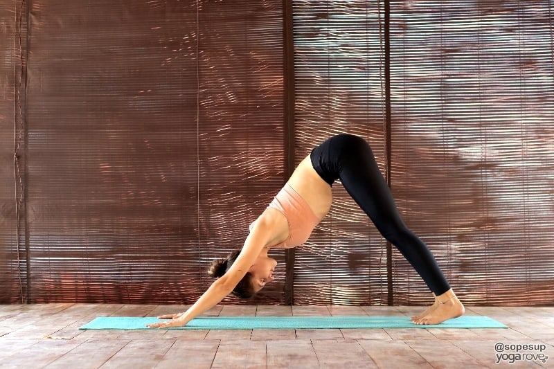 yogi practicing down dog to prep for boat pose.