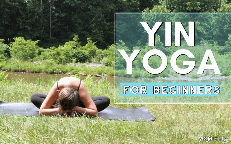 Beginner - Yin - Vinyasa - Bikram Yoga
